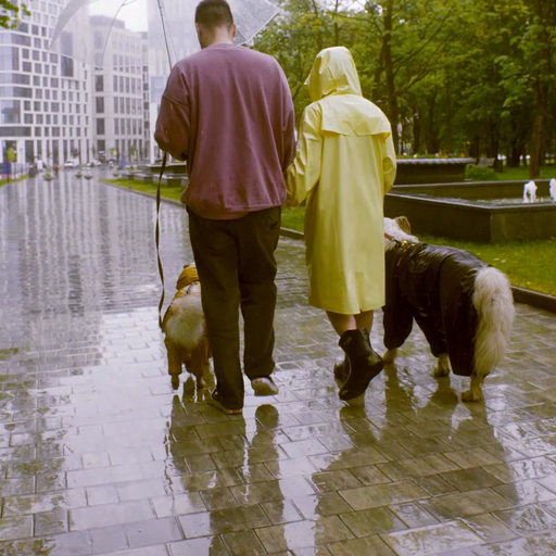 A_couple_walks_their_dogs_through_a_rainy_urban_park_ours