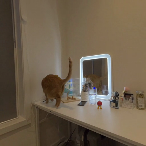 A_playful_cat_walking_across_a_neatly_arranged_desk_ours